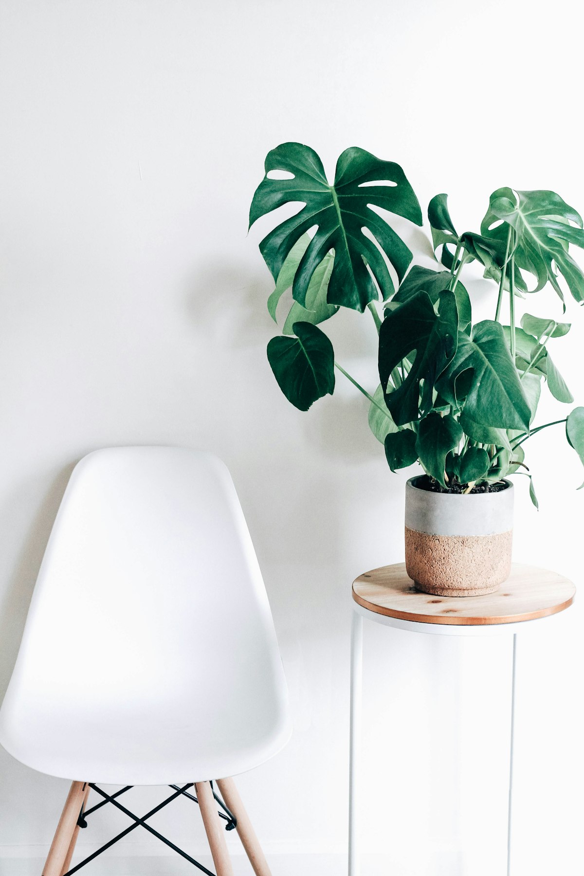 Eco-friendly cleaning